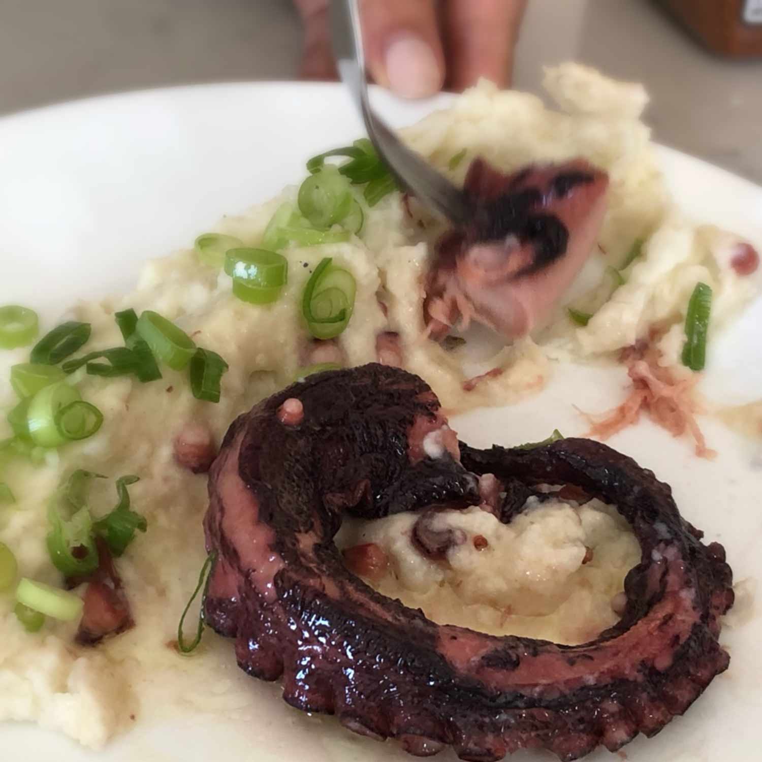 Güeyu Mar Chargrilled Octopus - Image 3